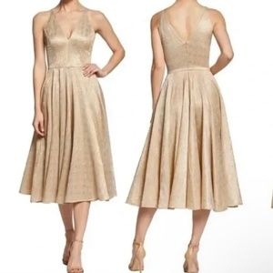 Dress the Population Delilah Plunging A-Line Party Dress